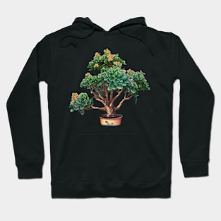 Kalanchoe Bonsai Hoodie